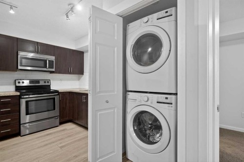 2208-279 Copperpond Common Se, Calgary, AB - Indoor Photo Showing Laundry Room