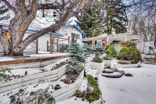 64 Hartford Road Nw, Calgary, AB - Outdoor
