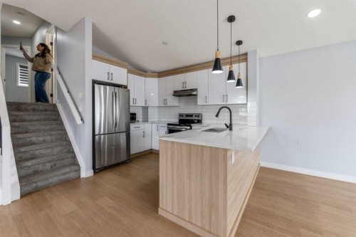 102 Martin Crossing Grove Ne, Calgary, AB - Indoor Photo Showing Kitchen With Upgraded Kitchen