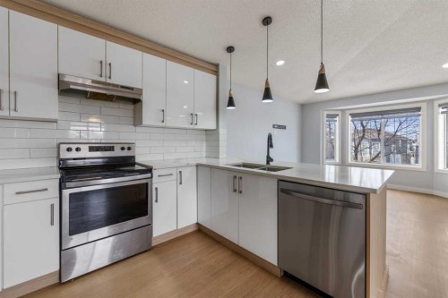 102 Martin Crossing Grove Ne, Calgary, AB - Indoor Photo Showing Kitchen With Double Sink With Upgraded Kitchen