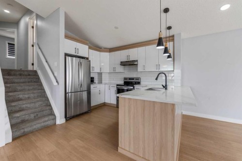 102 Martin Crossing Grove Ne, Calgary, AB - Indoor Photo Showing Kitchen With Upgraded Kitchen