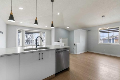 102 Martin Crossing Grove Ne, Calgary, AB - Indoor Photo Showing Kitchen With Double Sink With Upgraded Kitchen