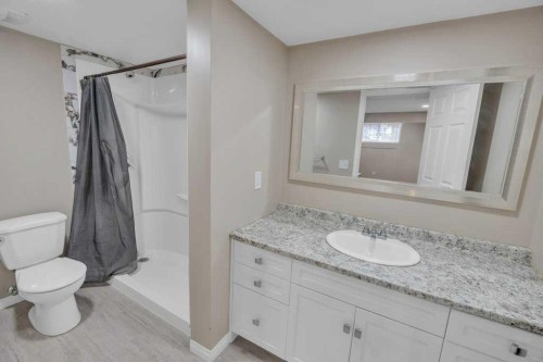 550 Copperfield Boulevard Se, Calgary, AB - Indoor Photo Showing Bathroom