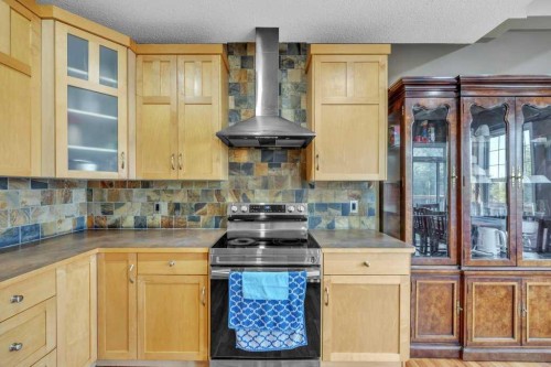 550 Copperfield Boulevard Se, Calgary, AB - Indoor Photo Showing Kitchen