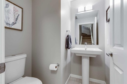 20 Copperpond Rise Se, Calgary, AB - Indoor Photo Showing Bathroom