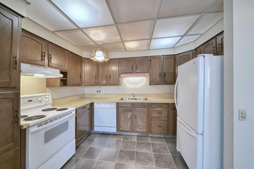 616 Dalmeny Hill Nw, Calgary, AB - Indoor Photo Showing Kitchen With Double Sink