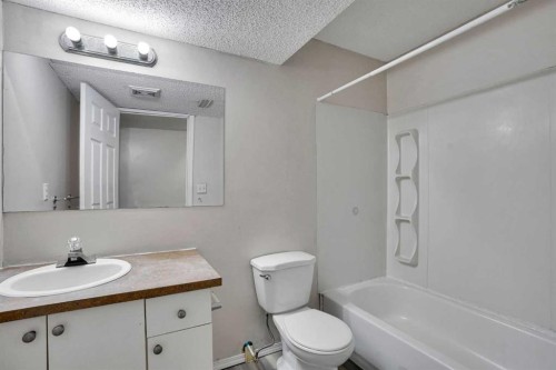 17 Taracove Crescent Ne, Calgary, AB - Indoor Photo Showing Bathroom