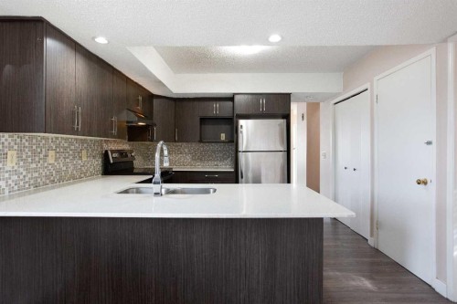 17 Martindale Drive Ne, Calgary, AB - Indoor Photo Showing Kitchen With Double Sink With Upgraded Kitchen