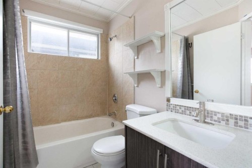 17 Martindale Drive Ne, Calgary, AB - Indoor Photo Showing Bathroom