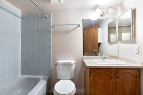 17 Martindale Drive Ne, Calgary, AB - Indoor Photo Showing Bathroom