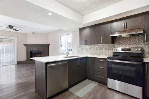 17 Martindale Drive Ne, Calgary, AB - Indoor Photo Showing Kitchen With Double Sink
