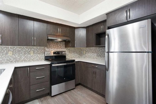 17 Martindale Drive Ne, Calgary, AB - Indoor Photo Showing Kitchen With Upgraded Kitchen