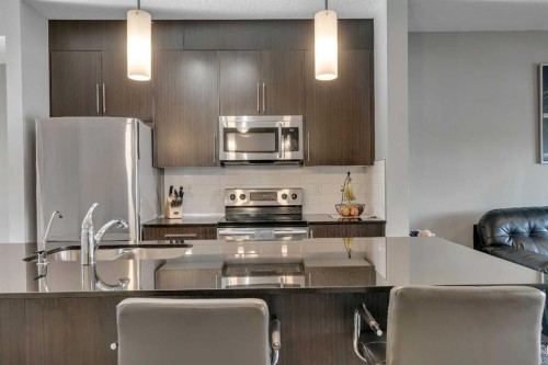 293 Skyview Ranch Road Ne, Calgary, AB - Indoor Photo Showing Kitchen With Stainless Steel Kitchen With Double Sink With Upgraded Kitchen