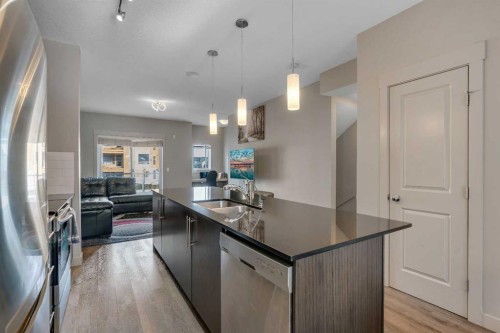 293 Skyview Ranch Road Ne, Calgary, AB - Indoor Photo Showing Kitchen With Double Sink With Upgraded Kitchen