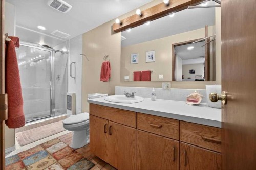 382 Ellis Crescent Se, High River, AB - Indoor Photo Showing Bathroom