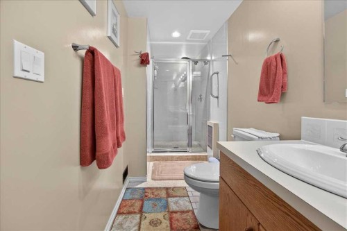 382 Ellis Crescent Se, High River, AB - Indoor Photo Showing Bathroom