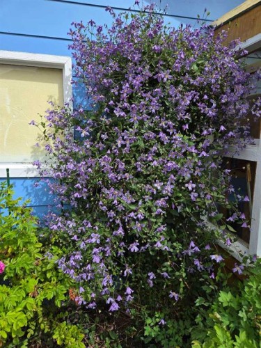 382 Ellis Crescent Se, High River, AB - Outdoor