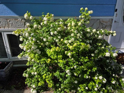 382 Ellis Crescent Se, High River, AB - Outdoor