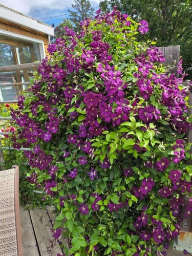 382 Ellis Crescent Se, High River, AB - Outdoor