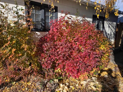 382 Ellis Crescent Se, High River, AB - Outdoor