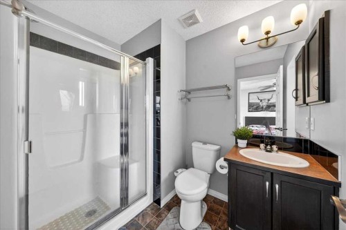 99 Copperfield Court Se, Calgary, AB - Indoor Photo Showing Bathroom