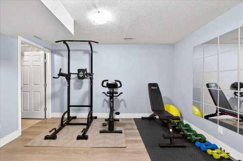 99 Copperfield Court Se, Calgary, AB - Indoor Photo Showing Gym Room