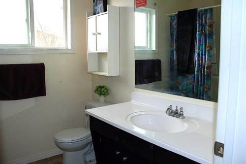 52 Fallingworth Court, Calgary, AB - Indoor Photo Showing Bathroom