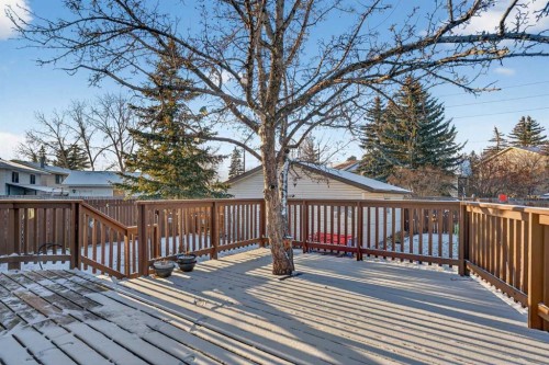 195 Fallswater Road Ne, Calgary, AB - Outdoor With Deck Patio Veranda