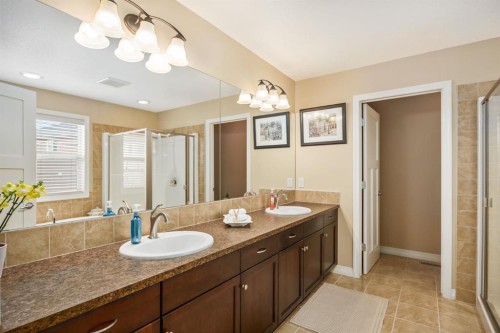 596 Everbrook Way Sw, Calgary, AB - Indoor Photo Showing Bathroom