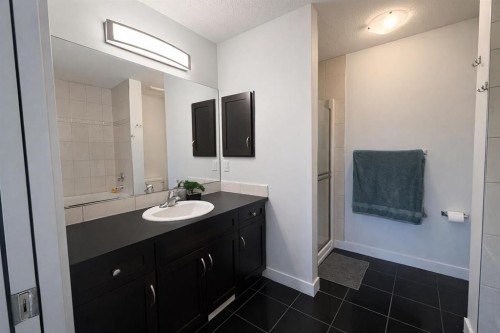 292 Rainbow Falls Drive, Chestermere, AB - Indoor Photo Showing Bathroom
