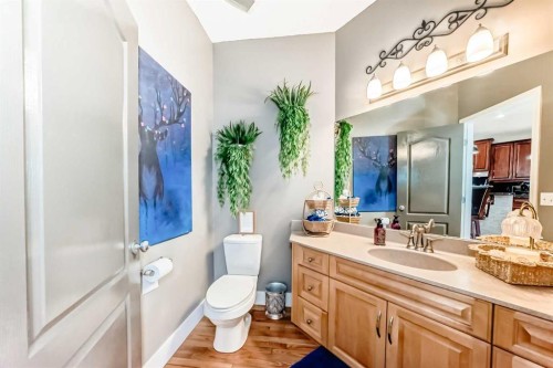 33 Boulder Creek Manor Se, Langdon, AB - Indoor Photo Showing Bathroom