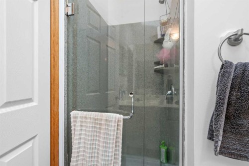 39 Arbour Wood Close Nw, Calgary, AB - Indoor Photo Showing Bathroom