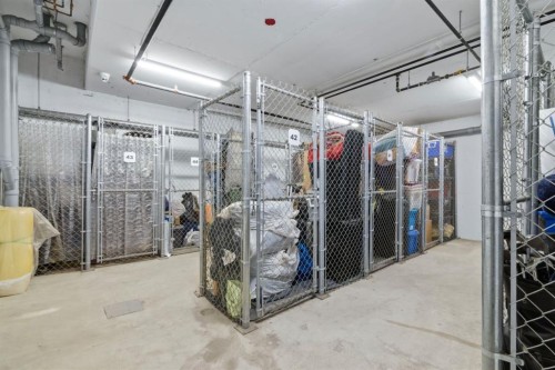 1411-220 Seton Grove Se, Calgary, AB - Indoor With Storage