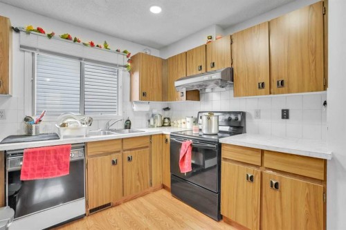 43 Falshire Close Ne, Calgary, AB - Indoor Photo Showing Kitchen With Double Sink