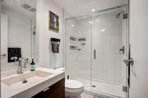 451-222 Riverfront Avenue Sw, Calgary, AB - Indoor Photo Showing Bathroom