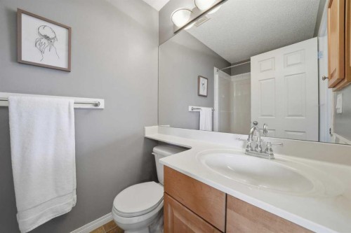 74 Cranberry Close Se, Calgary, AB - Indoor Photo Showing Bathroom