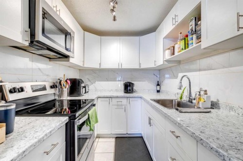 217 Aboyne Place Ne, Calgary, AB - Indoor Photo Showing Kitchen