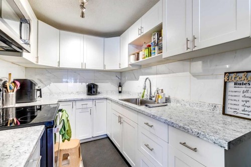 217 Aboyne Place Ne, Calgary, AB - Indoor Photo Showing Kitchen