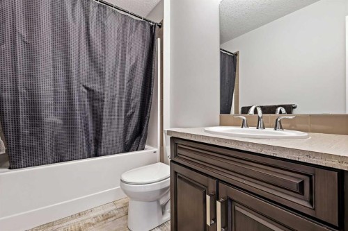 415 Auburn Bay Avenue Se, Calgary, AB - Indoor Photo Showing Bathroom