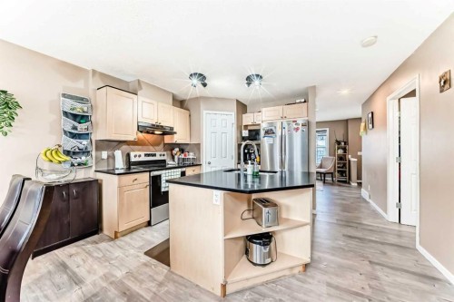32 Saddlebrook Place Ne, Calgary, AB - Indoor Photo Showing Kitchen