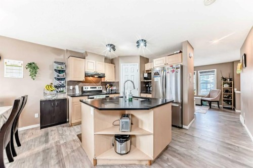 32 Saddlebrook Place Ne, Calgary, AB - Indoor Photo Showing Kitchen With Double Sink