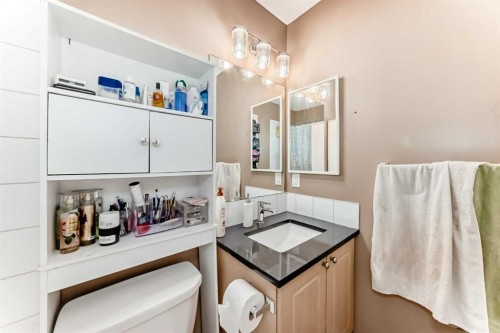 32 Saddlebrook Place Ne, Calgary, AB - Indoor Photo Showing Bathroom