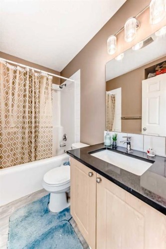 32 Saddlebrook Place Ne, Calgary, AB - Indoor Photo Showing Bathroom