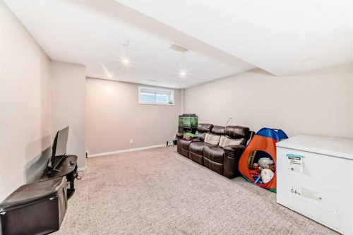 32 Saddlebrook Place Ne, Calgary, AB - Indoor Photo Showing Basement