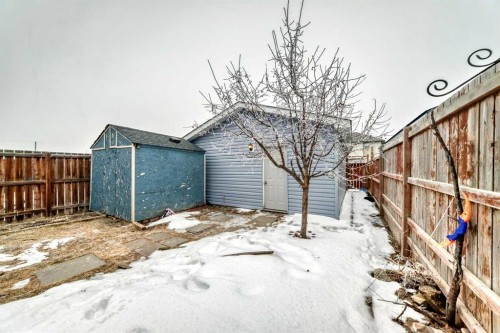 32 Saddlebrook Place Ne, Calgary, AB - Outdoor