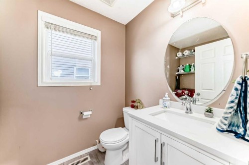 32 Saddlebrook Place Ne, Calgary, AB - Indoor Photo Showing Bathroom