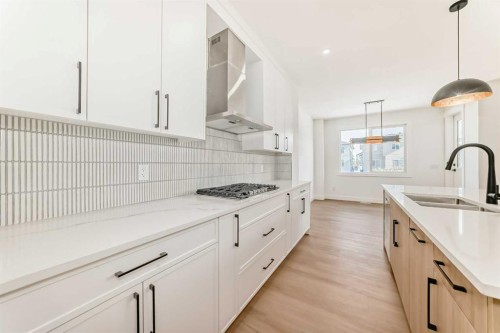 28 Saddlecrest Manor Ne, Calgary, AB - Indoor Photo Showing Kitchen With Double Sink With Upgraded Kitchen