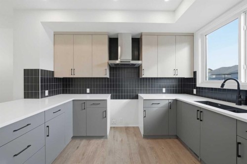596 Buffaloberry Manor Se, Calgary, AB - Indoor Photo Showing Kitchen With Double Sink
