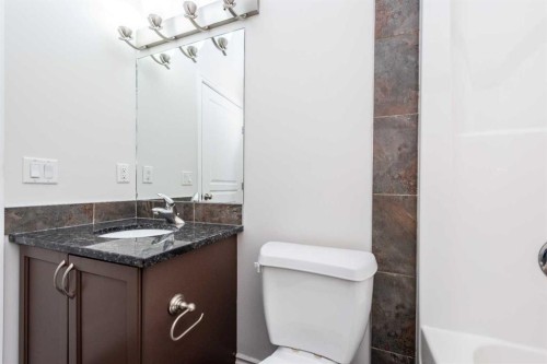 422 Taralake Way Ne, Calgary, AB - Indoor Photo Showing Bathroom