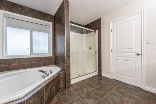 422 Taralake Way Ne, Calgary, AB - Indoor Photo Showing Bathroom